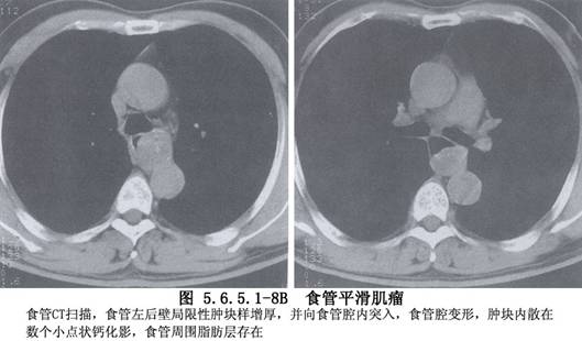 太阳成集团tyc玻璃组成pH和温度对玻璃正向溶解速率的影响