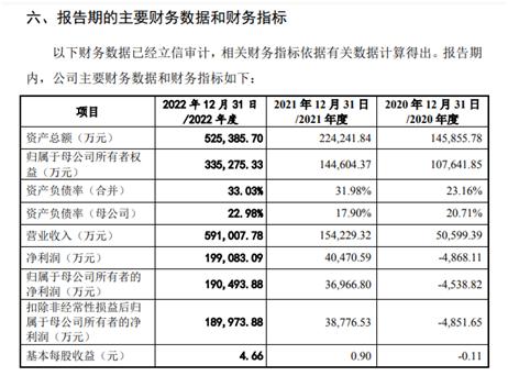 太阳成集团tyc供应过剩加剧下半年锂市场或持续弱势运行——锂市场上半年形势回顾及下半年展望